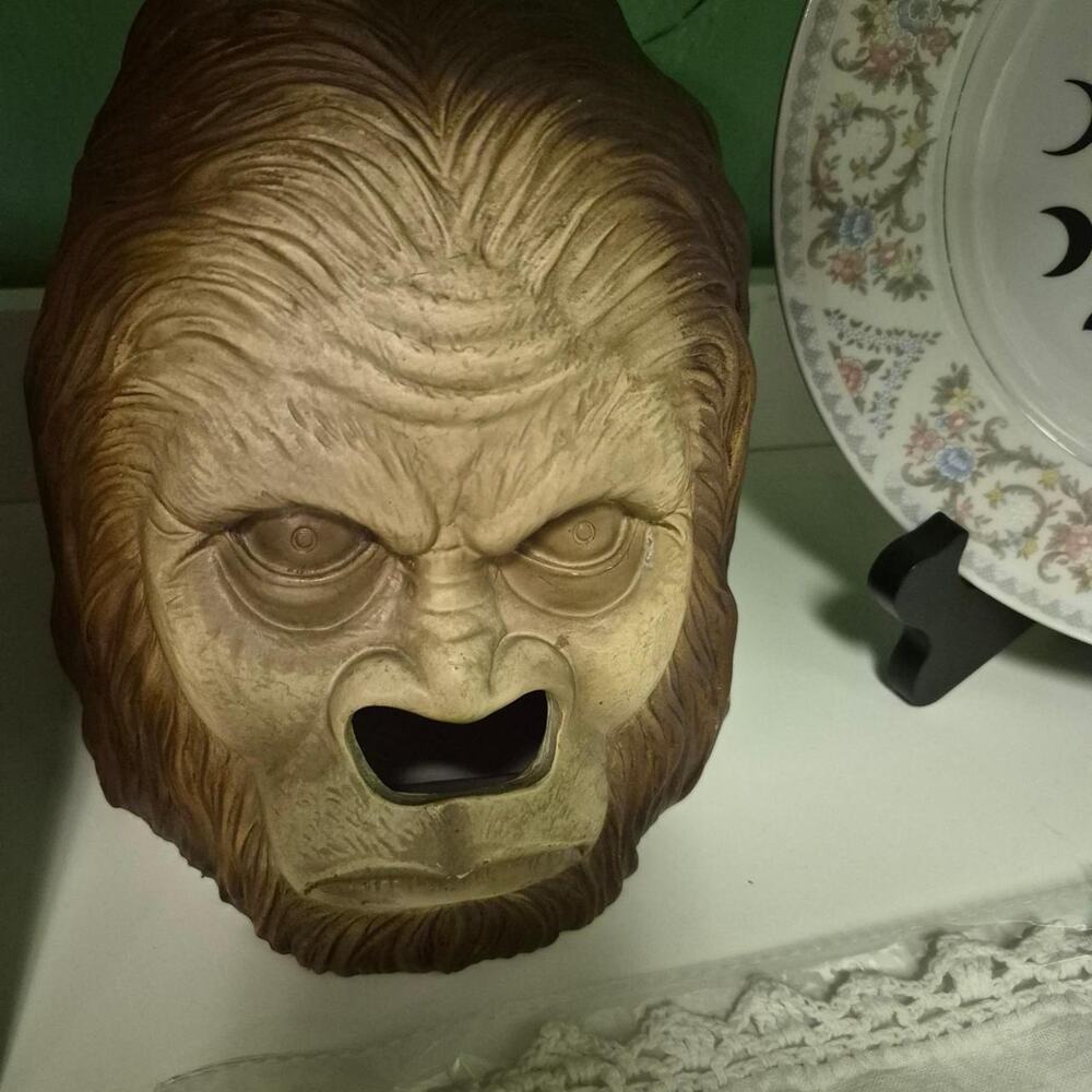 Bigfoot head tissue box cover